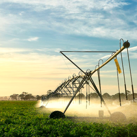 Agroindustria