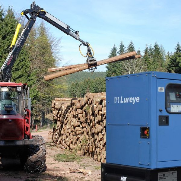 Grafica-Forestal Grafica-Forestal
